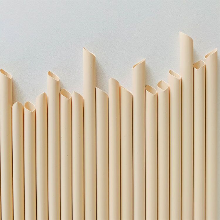 Disposable Bamboo Fiber Straw 